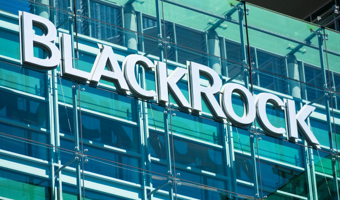 BlackRock: Hisse senedi piyasalarında satıcı yok