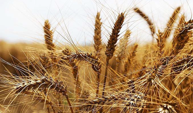 DCT Trading TURİB’de işlemlere başladı