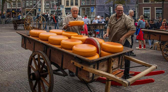 Fenerbahçe ‘peynir pazarı’nda