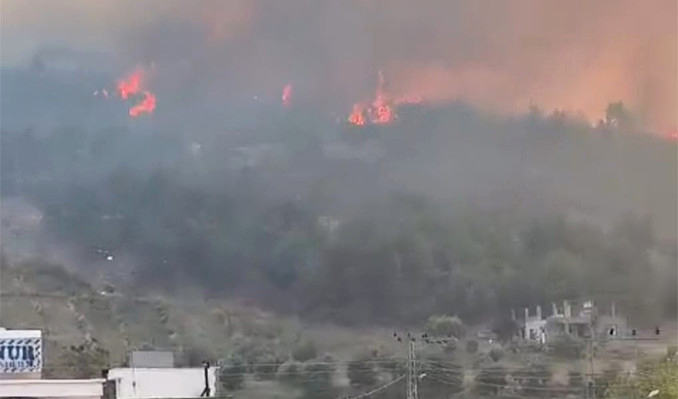 Hatay’da orman yangını: 4 ev tahliye edildi