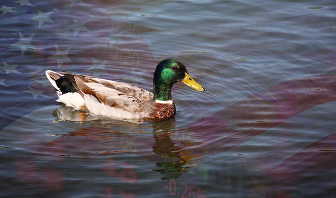 Topal ördek dönemi borsalara ne getirecek?