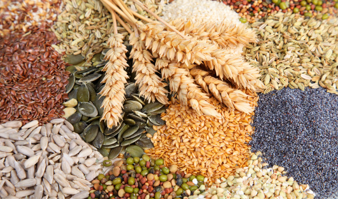 Çin’de hububat üretiminde rekor