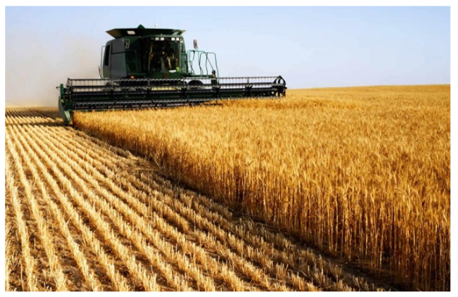 Tarım sektöründen ihracat rekoru