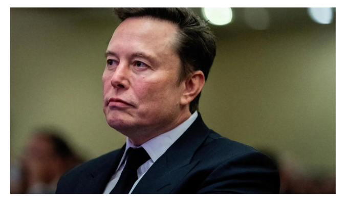 Elon Musk, imparatorluğunu devlet desteğiyle kurdu