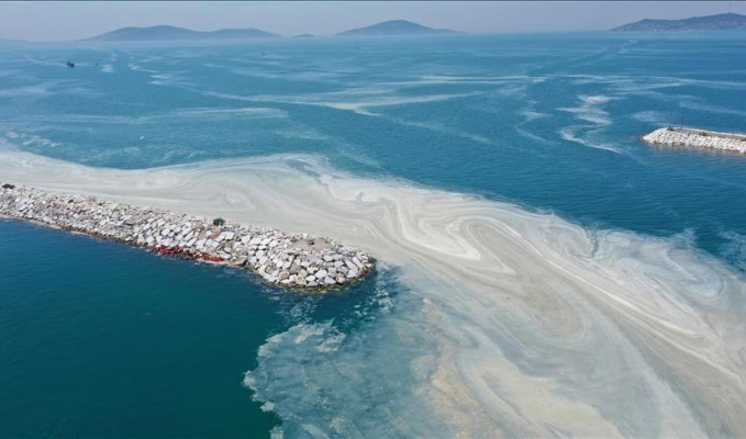Marmara Denizi’ne kıyısı olan belediyelere müsilaj uyarısı