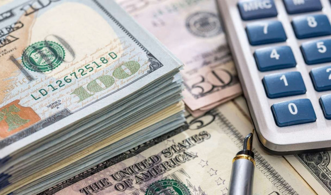 O döviz fonu bir yılda yüzde 52.85 getiri sağladı