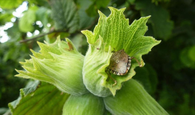 300 ürün tehlike altında: İşte büyük tehdit!