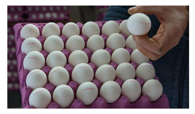 ABD, Türkiye’den yumurta alacak