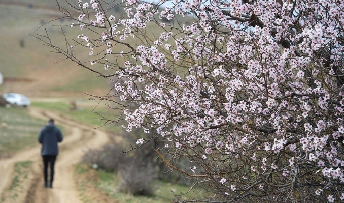 Hafta sonu sıcak hava etkili olacak