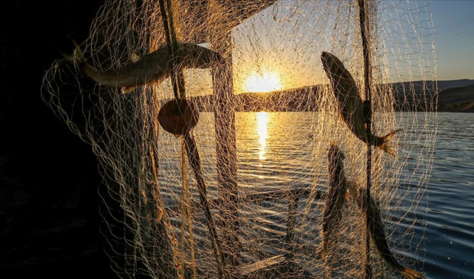 Balıkçılık av sezonu yasağı başlıyor!
