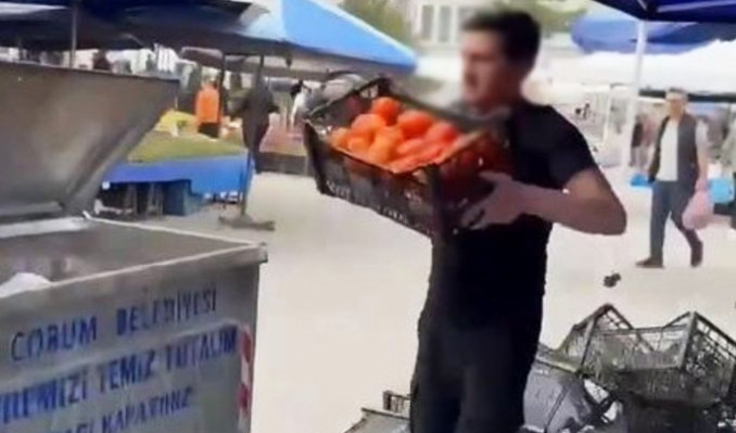 Domatesleri çöpe döken pazarcıya milyonluk ceza