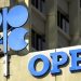 OPEC’in ham petrol üretimi temmuzda arttı