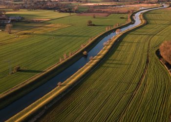 Egeli & Co Tarım GSYO’dan zorunlu pay alım teklifi