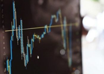 SPK bir yatırımcıya 6 ay süreyle işlem yasağı getirdi