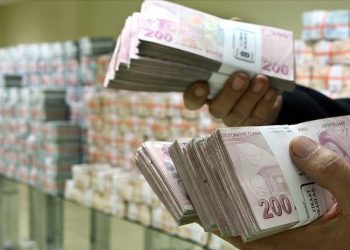 Türk lirasının reel değeri aralıkta düştü